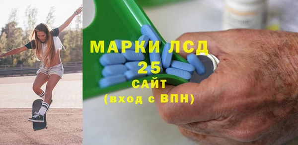прущие грибы Богданович