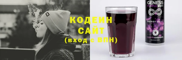 прущие грибы Богданович