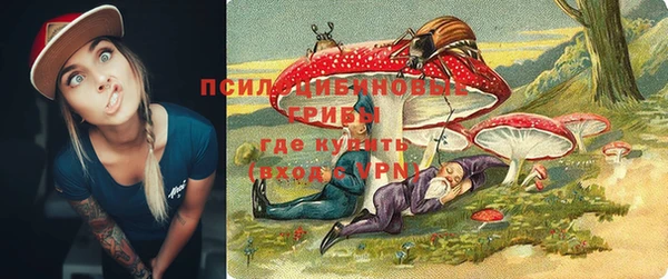 mdma Богородицк