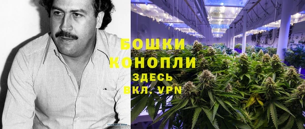 прущие грибы Богданович