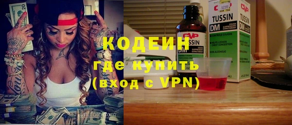 прущие грибы Богданович