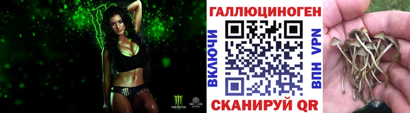 как найти наркотики  hydra зеркало  Псилоцибиновые грибы MAGIC MUSHROOMS  Олёкминск 
